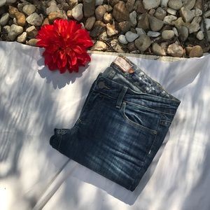 Size 29 Paige Petite Bootcut